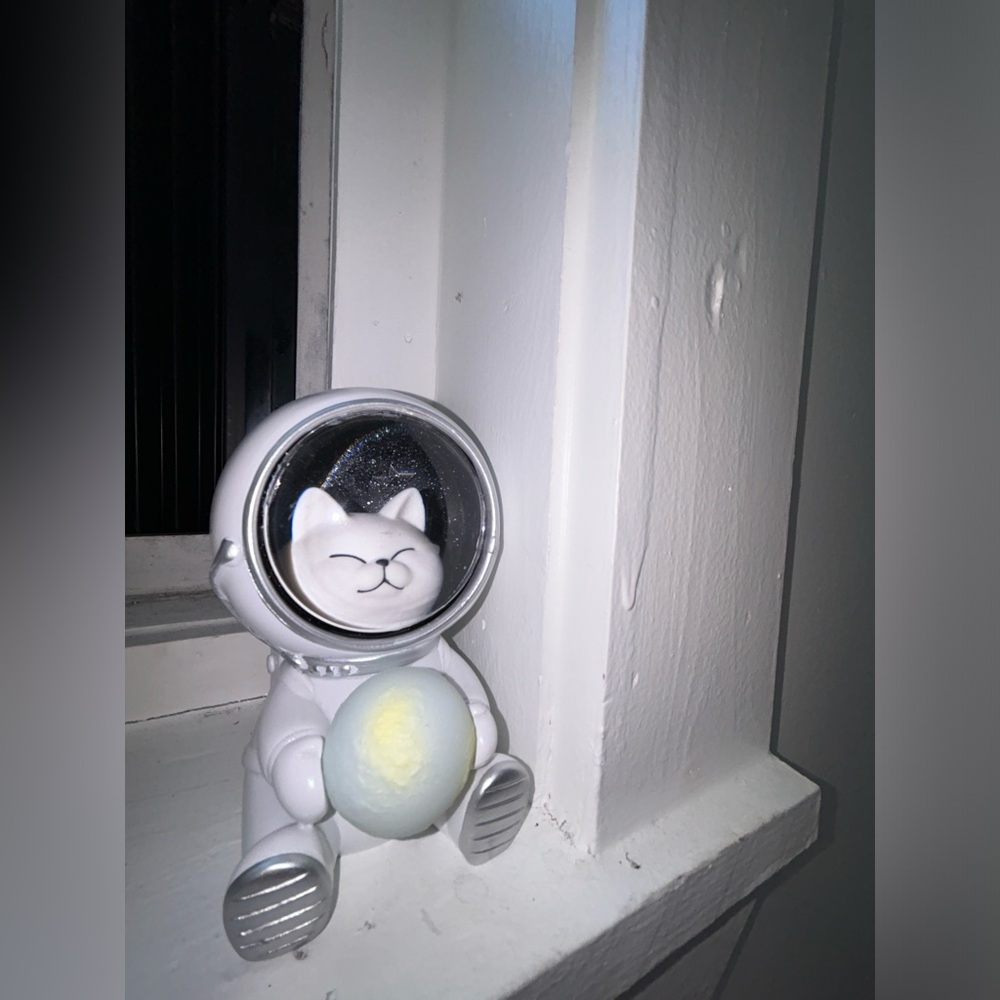 Astronaut kitten Night light
